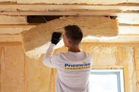 Best Blown-In Insulation  in Pleasant Ridge, MI